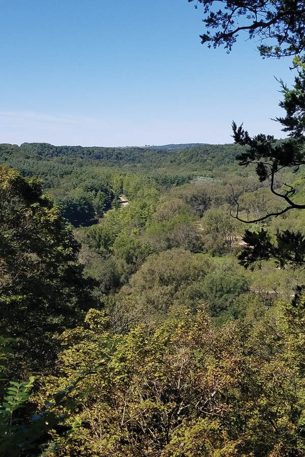 Be sure to visit all three of the bluff vistas that overlook the Paint Creek valley at Yellow River State Forest | Iowa DNR